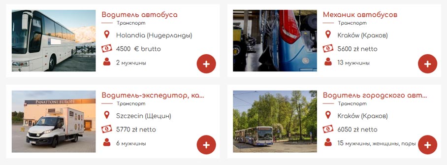 oferty pracy kierowca autobusu